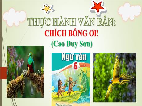 Bài giảng Ngữ văn 6 - Thực hành văn bản Chích bông ơi - Cao Duy Sơn